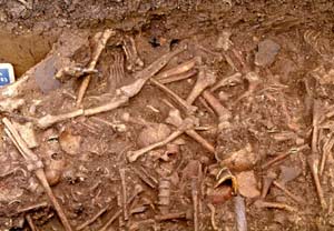 Enterramiento de huesos del Neolítico. (Foto: 'Antiquity')