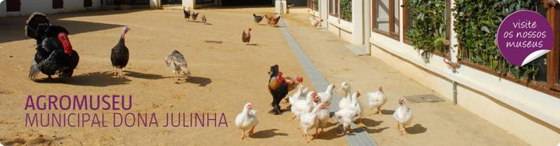 header_agromuseu_1.jpg