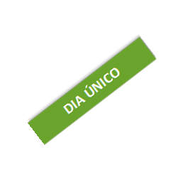 DIA ÚNICO